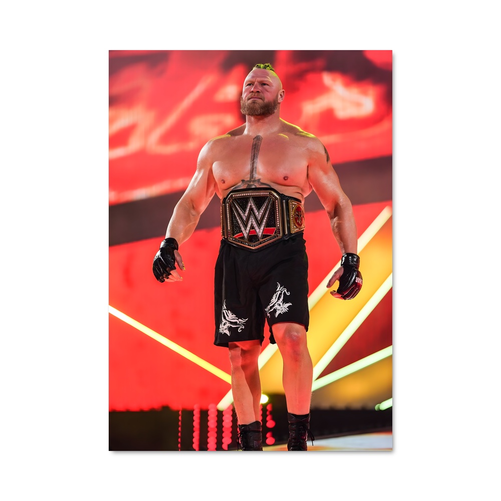 Poster Brock lesnar effets
